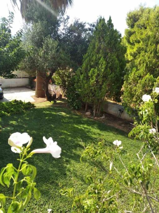 Cozy Villa Vita Lagonisi Kalivia Thorikou Eksteriør bilde